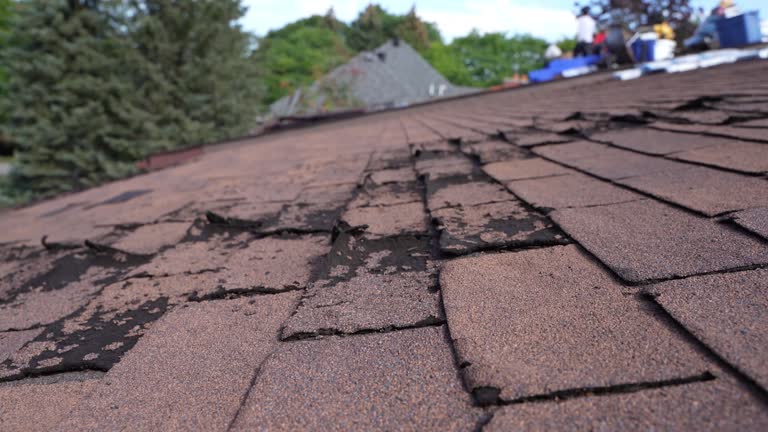 Best Hot Roofs  in Newark, CA