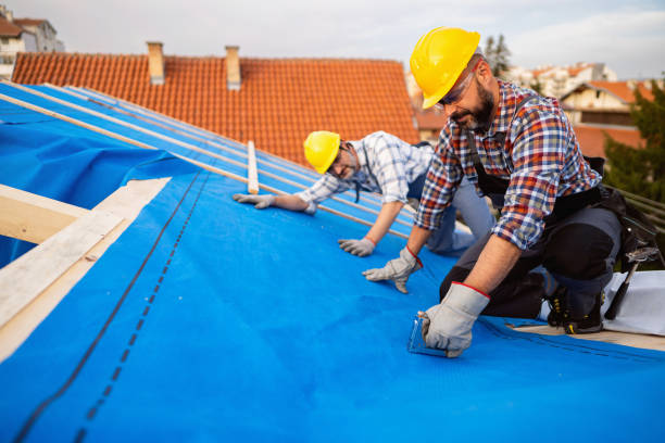 Best Chimney Flashing Repair  in Newark, CA