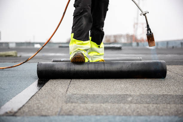 Best Roof Coating and Sealing  in Newark, CA