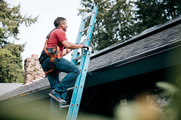 Best Wood Shake Roofing  in Newark, CA