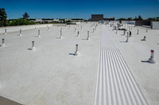 Best Skylight Installation and Repair  in Newark, CA